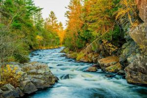 eb0f87b40cfe311ffbd897dff2097369